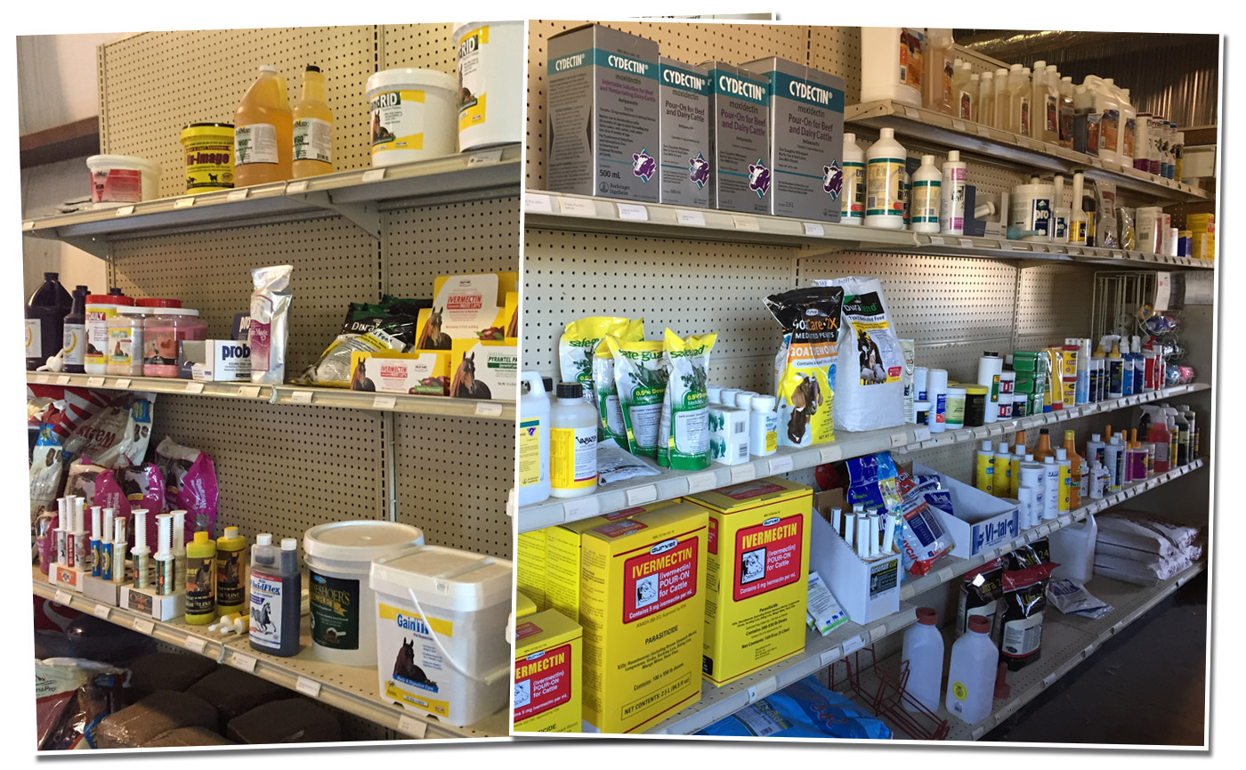 animal-health-main-ph1