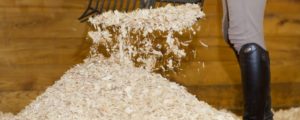 shavings
