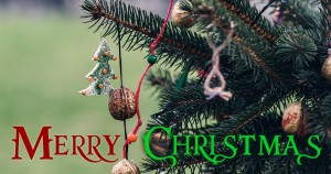 holiday store hours